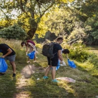 Cleaning Services for Local Authorities 1